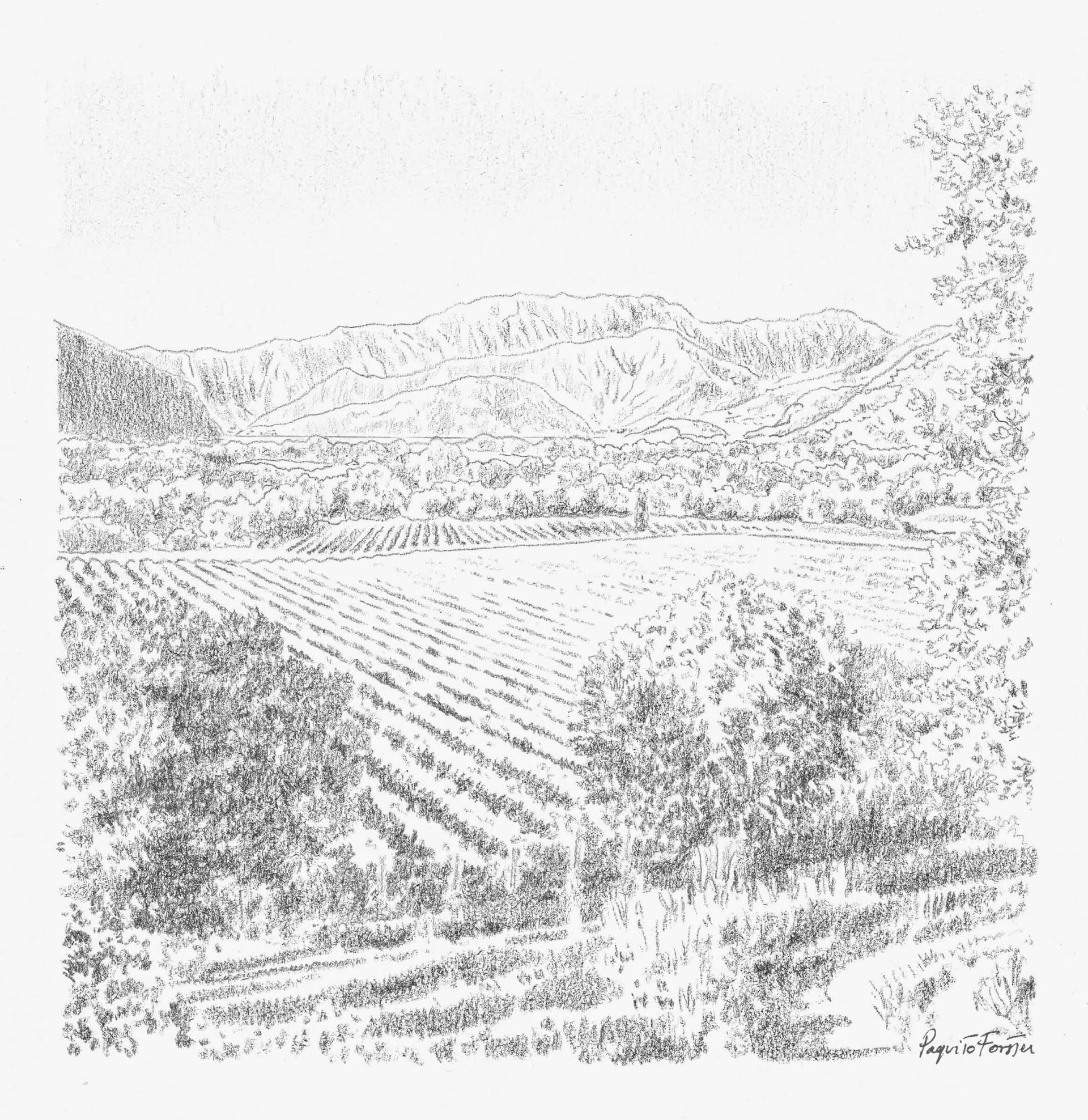 MONTE GUGLIELMO