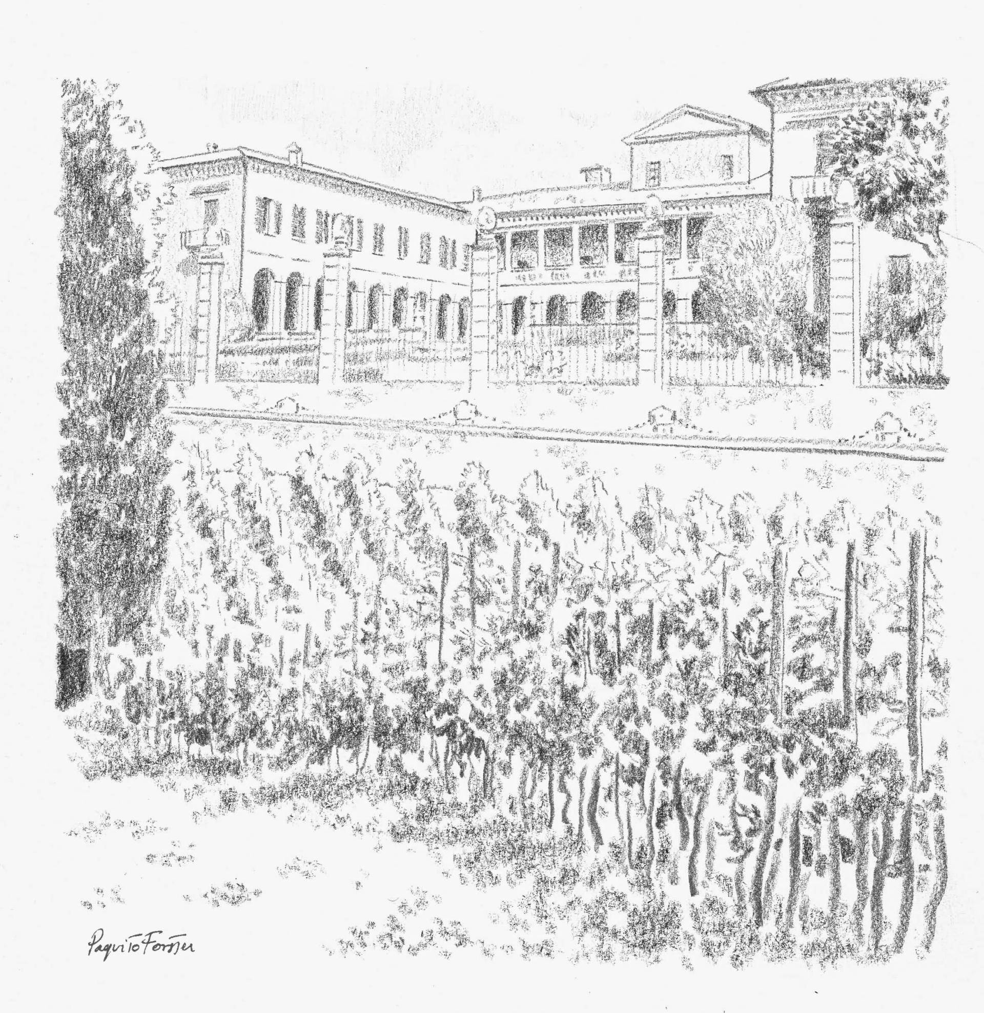 VILLA LECHI