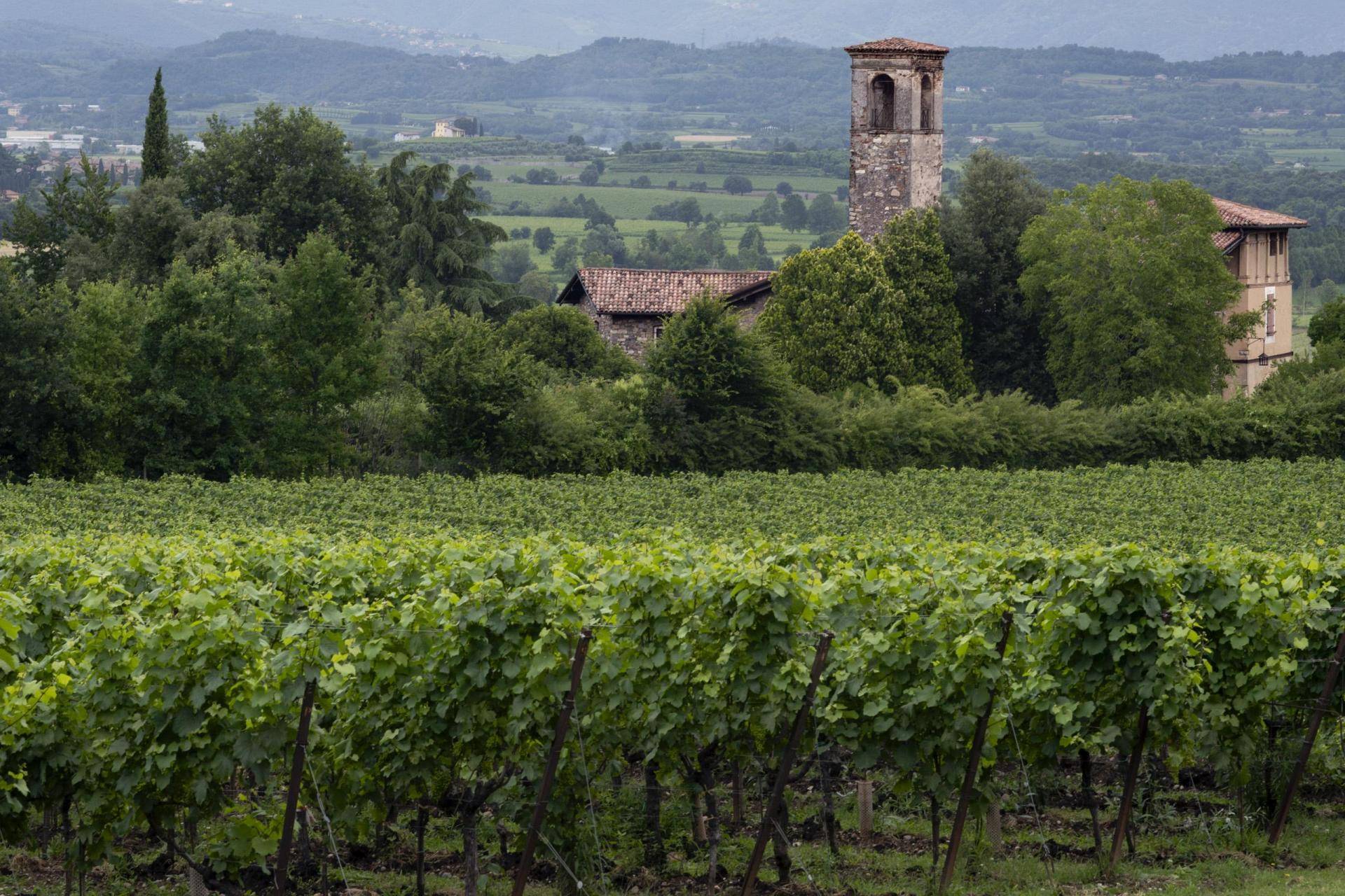 SASSO