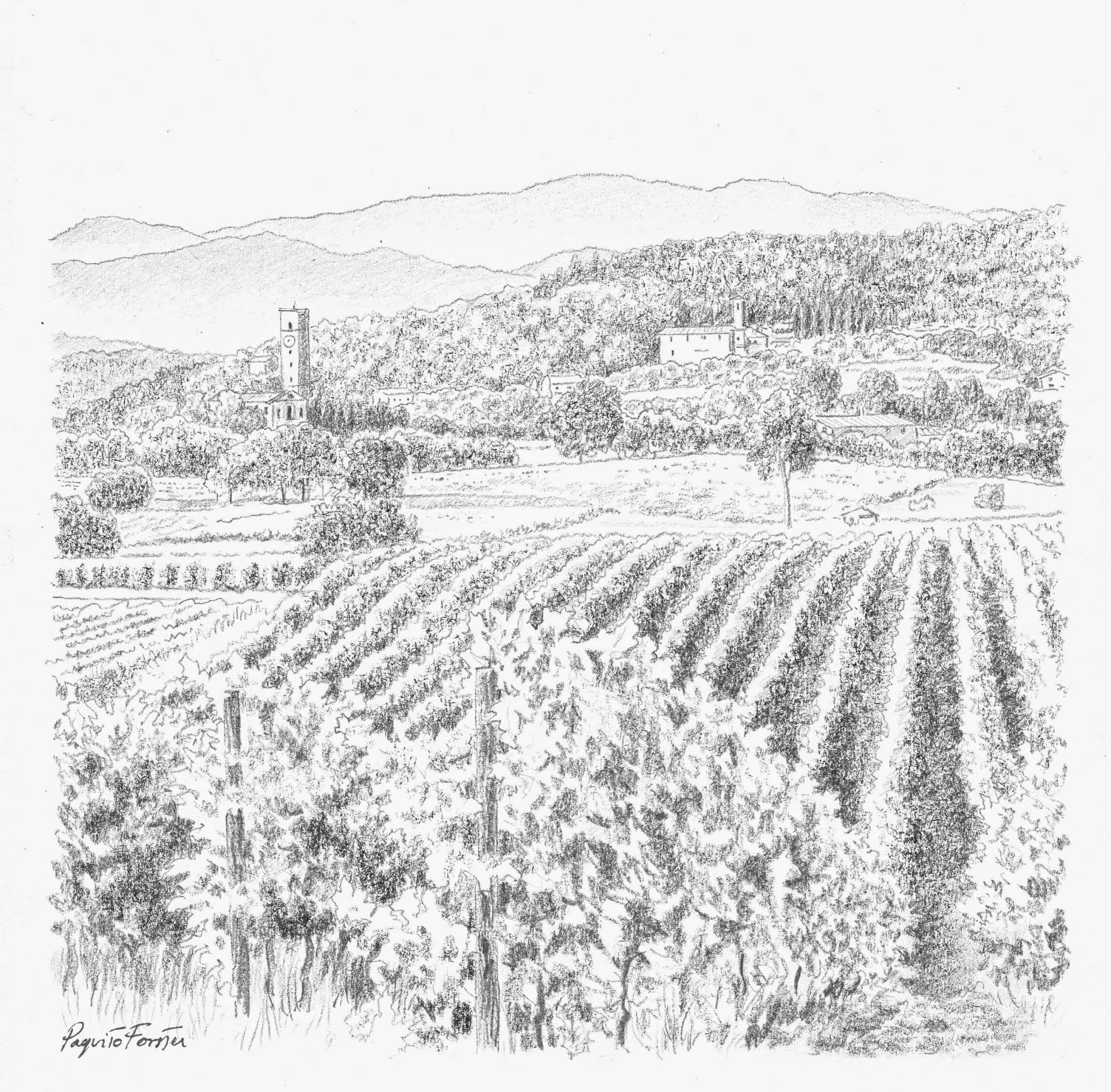 VALLI