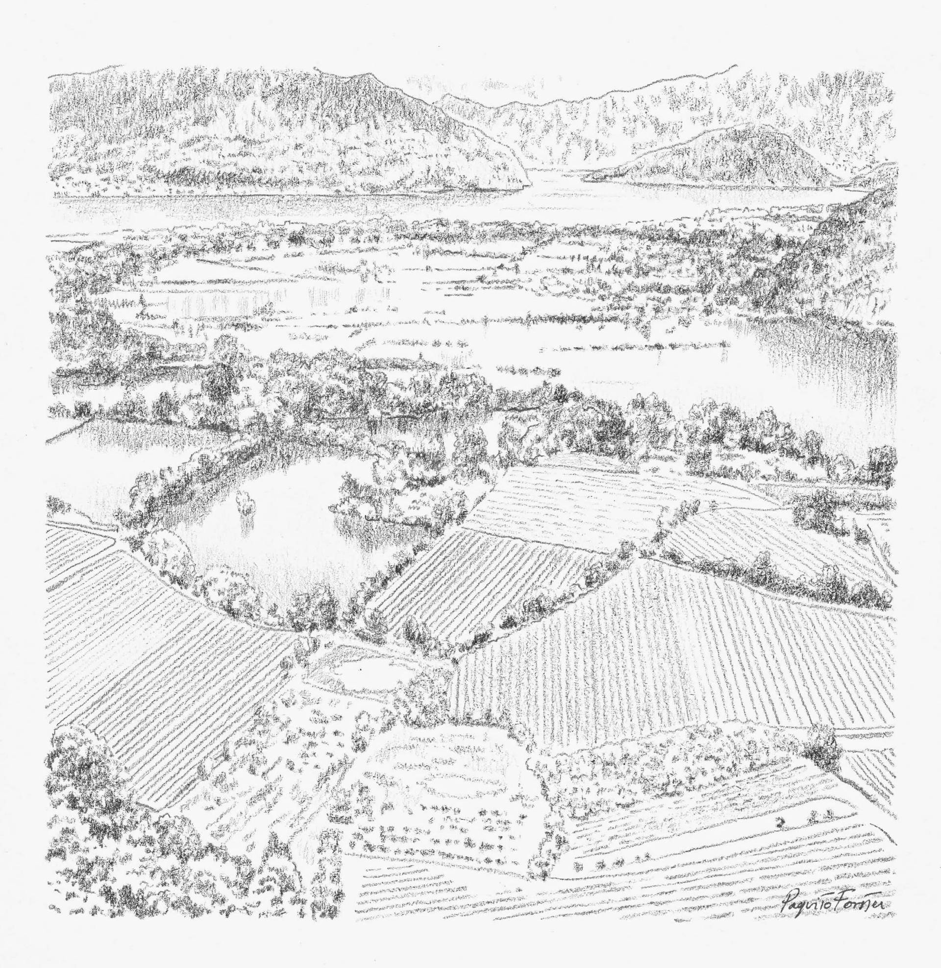TORBIERE DEL SEBINO