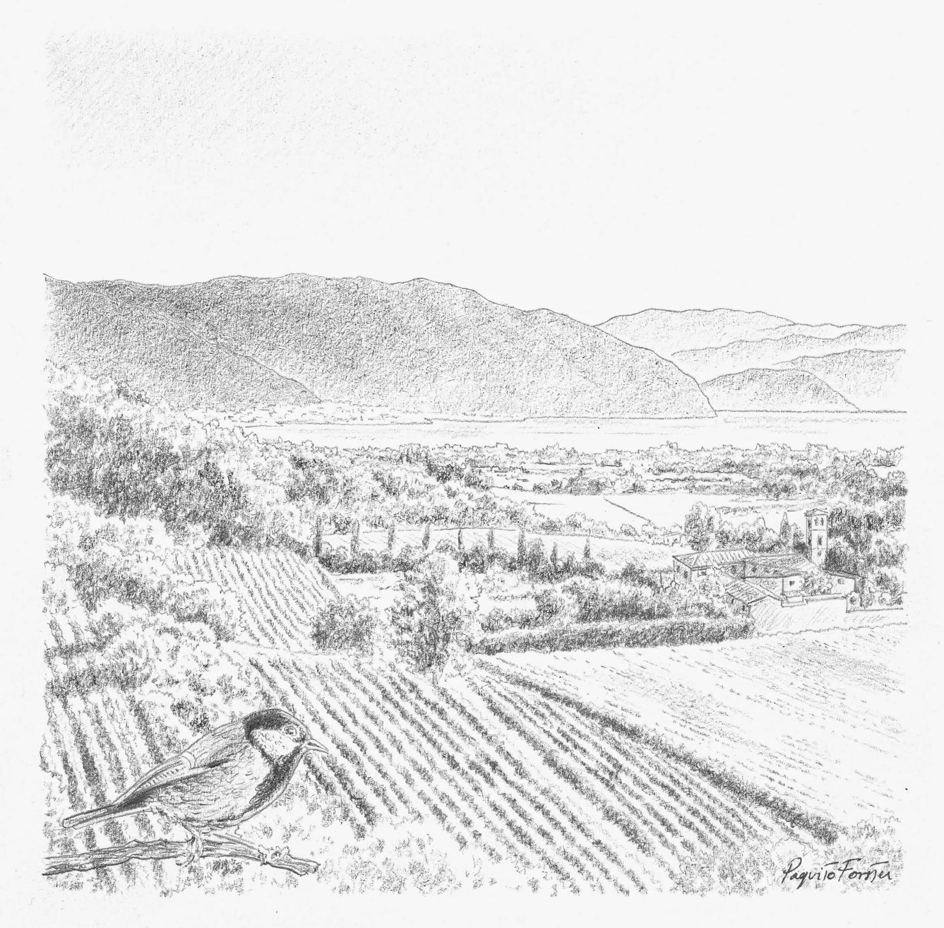 ROCCHETTA