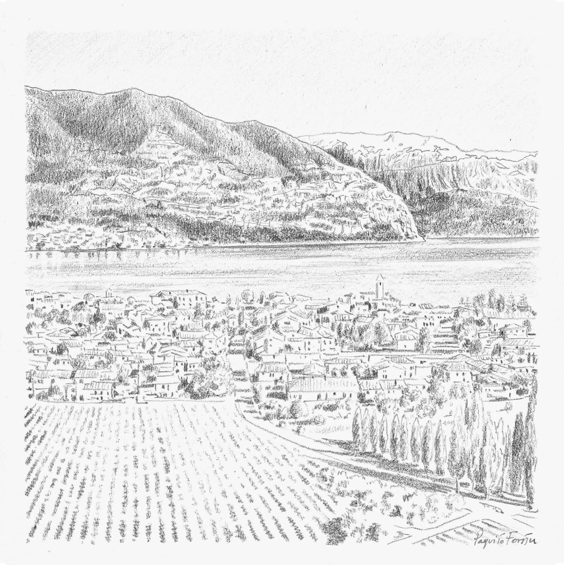 Monte alto
